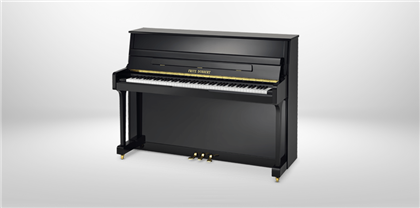 Piano Vertical FD110
